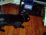 d0dsc 0034