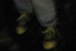 img 0602