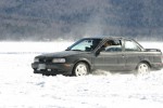 img 2469