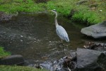 img 5351