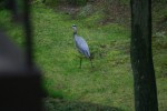 img 5357