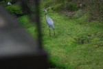 img 5358