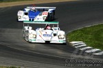img 1152 web