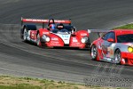 img 1214 web