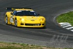 img 1216 web