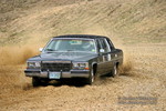 img 8069 web