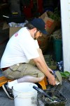 img 0861 web